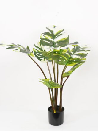 Artificial Tree 50*50*90CM Ctenanthe setosa tree in pp pot GS-48522021 Tree&Plant 3,000+ sqm showroom with thousands of artificial flowers, plants & trees ready for global sourcing.