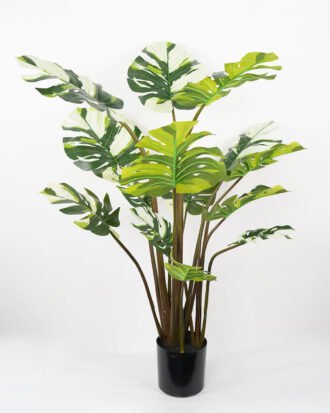 Artificial Tree 80*75*140CM Monstera tree in pp pot GS-48522012 Tree&Plant YeahFlower is one of Chinese leading OEM manufacturers and exporters , supplying the silk flowers, wholesale artificial trees Artificial Tree 80*75*140CM Monstera tree in pp pot GS-48522012 Tree&Plant YeahFlower is one of Chinese leading OEM manufacturers and exporters , supplying the silk flowers, wholesale artificial trees
