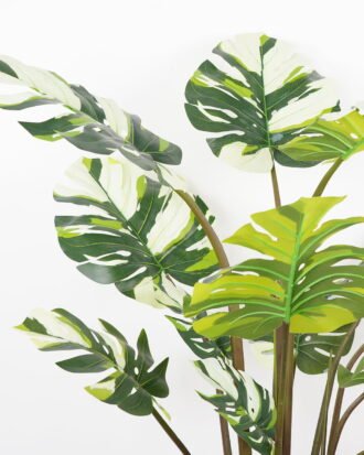 Artificial Tree 80*75*140CM Monstera tree in pp pot GS-48522012 Tree&Plant YeahFlower is one of Chinese leading OEM manufacturers and exporters , supplying the silk flowers, wholesale artificial trees Artificial Tree 80*75*140CM Monstera tree in pp pot GS-48522012 Tree&Plant YeahFlower is one of Chinese leading OEM manufacturers and exporters , supplying the silk flowers, wholesale artificial trees
