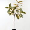Artificial Tree 70*70*163cm Oak tree in PP pot GS-64822016-Y1 Tree&Plant YeahFlower is one of Chinese leading OEM manufacturers and exporters , supplying the silk flowers, wholesale artificial trees