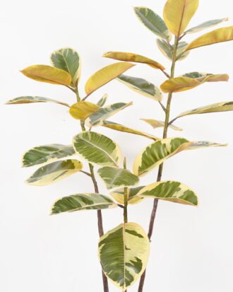 Artificial Tree 80*70*135cm Oak tree in PP pot GS-64822017-Y1 Tree&Plant YeahFlower is one of Chinese leading OEM manufacturers and exporters , supplying the silk flowers, wholesale artificial trees