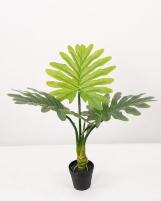 Artificial Tree 35*35*55CM Philodendron erubescens in pp pot GS-48522061 Tree&Plant YeahFlower is one of Chinese leading OEM manufacturers and exporters , supplying the silk flowers, wholesale artificial trees