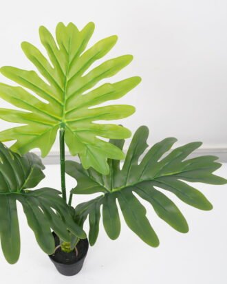 Artificial Tree 35*35*55CM Philodendron erubescens in pp pot GS-48522061 Tree&Plant YeahFlower is one of Chinese leading OEM manufacturers and exporters , supplying the silk flowers, wholesale artificial trees