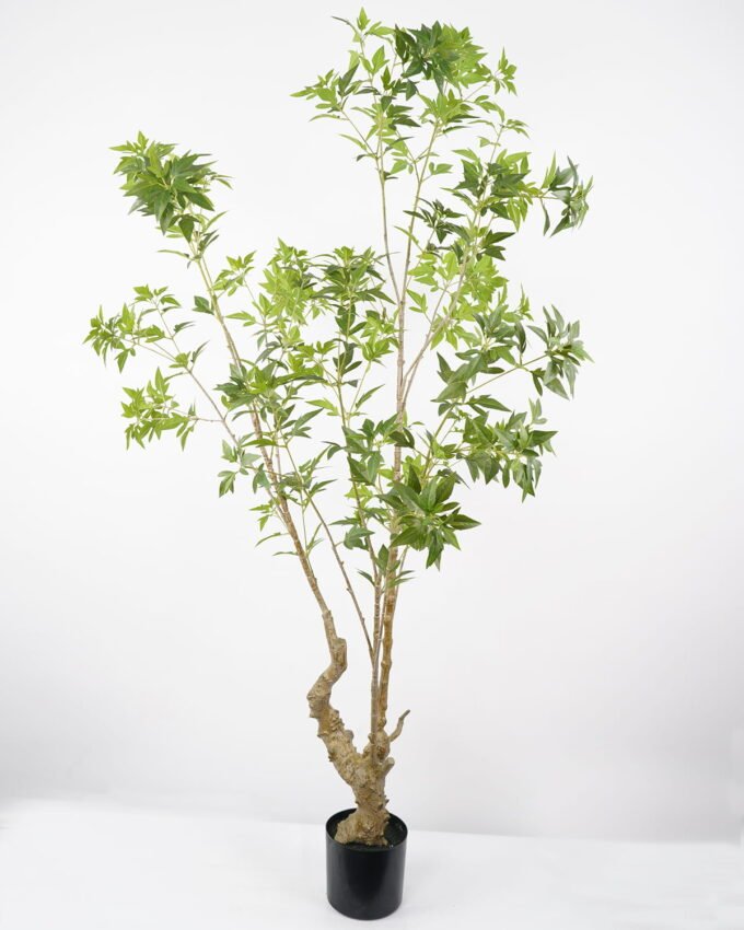 Artificial Tree 85*85*190CM Polyscias tree in pp pot GS-48522029 Tree&Plant YeahFlower is one of Chinese leading OEM manufacturers and exporters , supplying the silk flowers, wholesale artificial trees