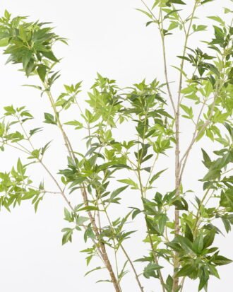 Artificial Tree 85*85*190CM Polyscias tree in pp pot GS-48522029 Tree&Plant YeahFlower is one of Chinese leading OEM manufacturers and exporters , supplying the silk flowers, wholesale artificial trees