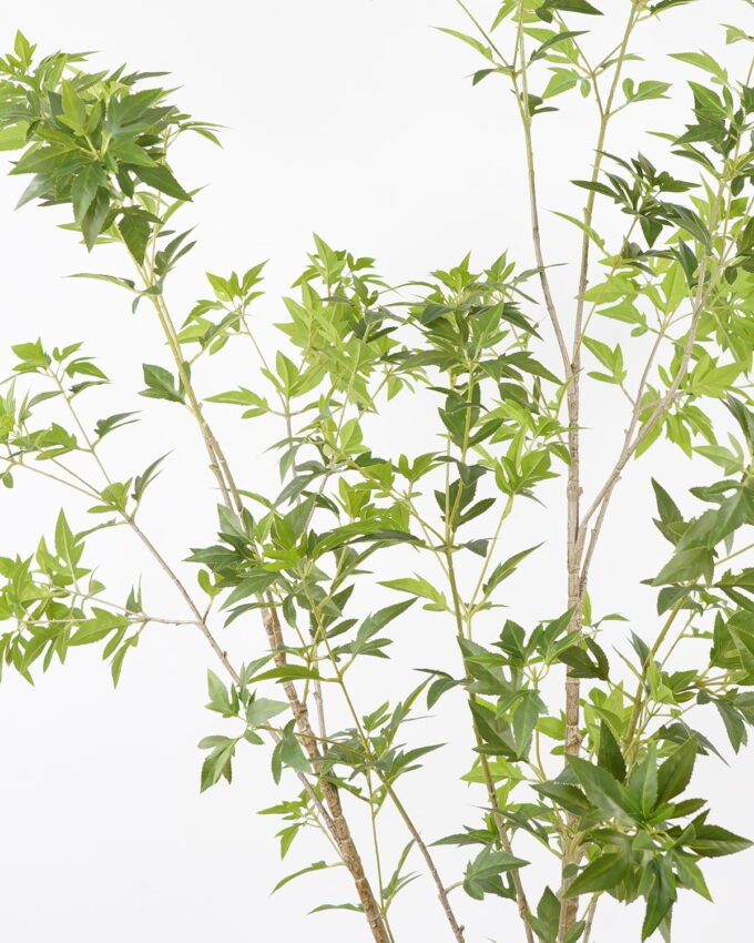 Artificial Tree 85*85*190CM Polyscias tree in pp pot GS-48522029 Tree&Plant YeahFlower is one of Chinese leading OEM manufacturers and exporters , supplying the silk flowers, wholesale artificial trees