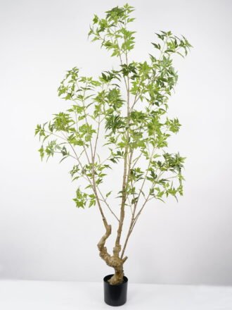 Artificial Tree 85*85*190CM Polyscias tree in pp pot GS-48522029 Tree&Plant 3,000+ sqm showroom with thousands of artificial flowers, plants & trees ready for global sourcing.