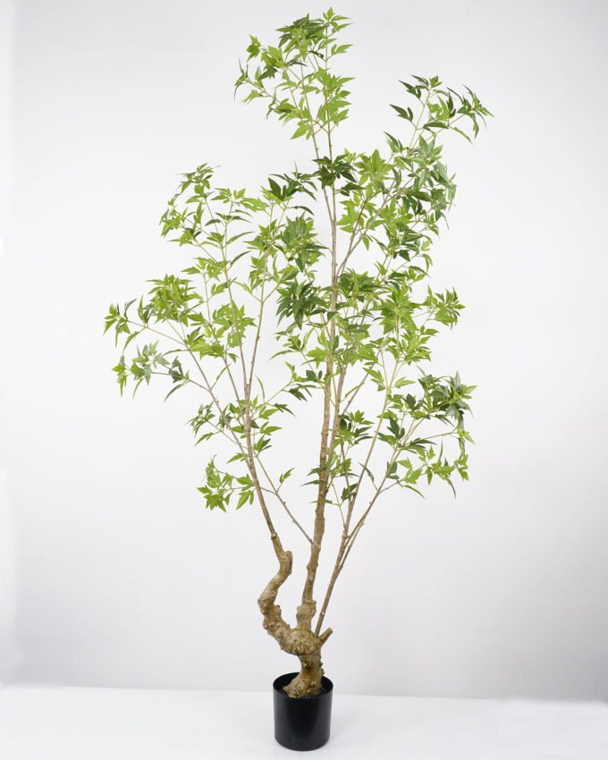 Artificial Tree 95*95*205CM Polyscias tree in pp pot GS-48522030 Tree&Plant YeahFlower is one of Chinese leading OEM manufacturers and exporters , supplying the silk flowers, wholesale artificial trees