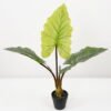 Artificial Tree Rainbow taro in pp pot GS-48522062 Artificial Tree 30*30*60CM Rainbow taro in pp pot GS-48522062 Tree&Plant YeahFlower is one of Chinese leading OEM manufacturers and exporters , supplying the silk flowers, wholesale artificial trees