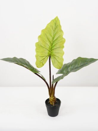 Artificial Tree 21.5*21.5*91cm Topiary in PP basket GS-33022016 Tree&Plant 3,000+ sqm showroom with thousands of artificial flowers, plants & trees ready for global sourcing.