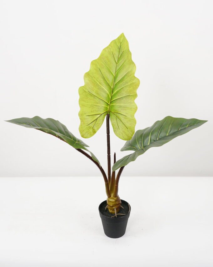 Artificial Tree Rainbow taro in pp pot GS-48522062 Artificial Tree 30*30*60CM Rainbow taro in pp pot GS-48522062 Tree&Plant YeahFlower is one of Chinese leading OEM manufacturers and exporters , supplying the silk flowers, wholesale artificial trees