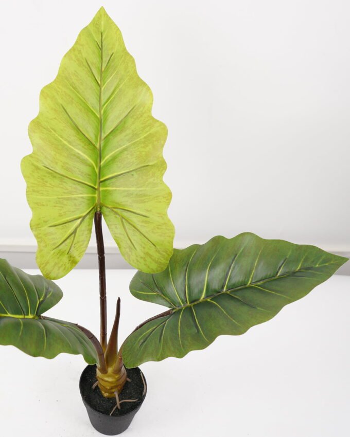 Artificial Tree Rainbow taro in pp pot GS-48522062_1 Artificial Tree 30*30*60CM Rainbow taro in pp pot GS-48522062 Tree&Plant YeahFlower is one of Chinese leading OEM manufacturers and exporters , supplying the silk flowers, wholesale artificial trees