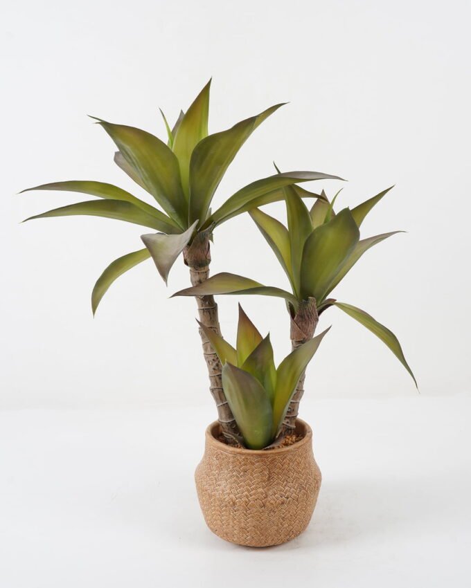 Artificial Tree 50*50*65cm Red Agave*3 in cement pot GS-19222023 Tree&Plant YeahFlower is one of Chinese leading OEM manufacturers and exporters , supplying the silk flowers, wholesale artificial trees