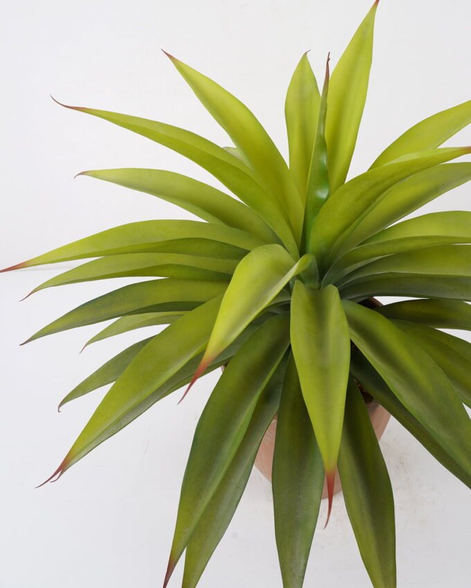 Artificial Tree 60*60*58cm Red Agave in cement pot GS-19222024 Tree&Plant YeahFlower is one of Chinese leading OEM manufacturers and exporters , supplying the silk flowers, wholesale artificial trees