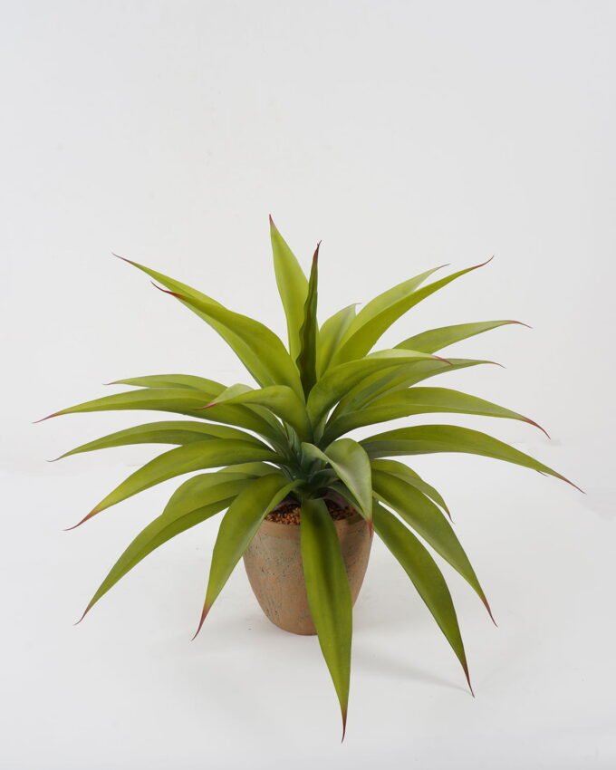 Artificial Tree Red Agave in cement pot GS-19222025 Artificial Tree 56*56*48cm Red Agave in cement pot GS-19222025 Tree&Plant YeahFlower is one of Chinese leading OEM manufacturers and exporters , supplying the silk flowers, wholesale artificial trees