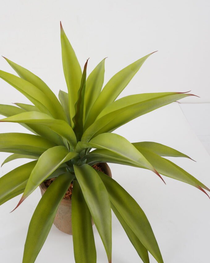 Artificial Tree Red Agave in cement pot GS-19222025_5 Artificial Tree 56*56*48cm Red Agave in cement pot GS-19222025 Tree&Plant YeahFlower is one of Chinese leading OEM manufacturers and exporters , supplying the silk flowers, wholesale artificial trees