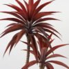 Artificial Tree 70*70*110cm Red agave *2in cement pot GS-19222041 Tree&Plant YeahFlower is one of Chinese leading OEM manufacturers and exporters , supplying the silk flowers, wholesale artificial trees