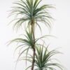 Artificial Tree 70*70*150cm Sago cycas leaves*3 in cement pot GS-19222002 Tree&Plant YeahFlower is one of Chinese leading OEM manufacturers and exporters , supplying the silk flowers, wholesale artificial trees