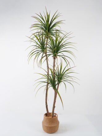 Artificial Tree 75*75*120cm Bamboo *6 in PP pot GS-30422002 Tree&Plant YeahFlower is one of Chinese leading OEM manufacturers and exporters , supplying the silk flowers, wholesale artificial trees