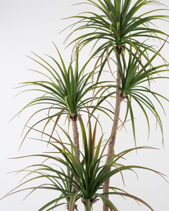Artificial Tree 85*85*176cm Sago cycas leaves*5 in cement pot GS-19222001 Tree&Plant YeahFlower is one of Chinese leading OEM manufacturers and exporters , supplying the silk flowers, wholesale artificial trees