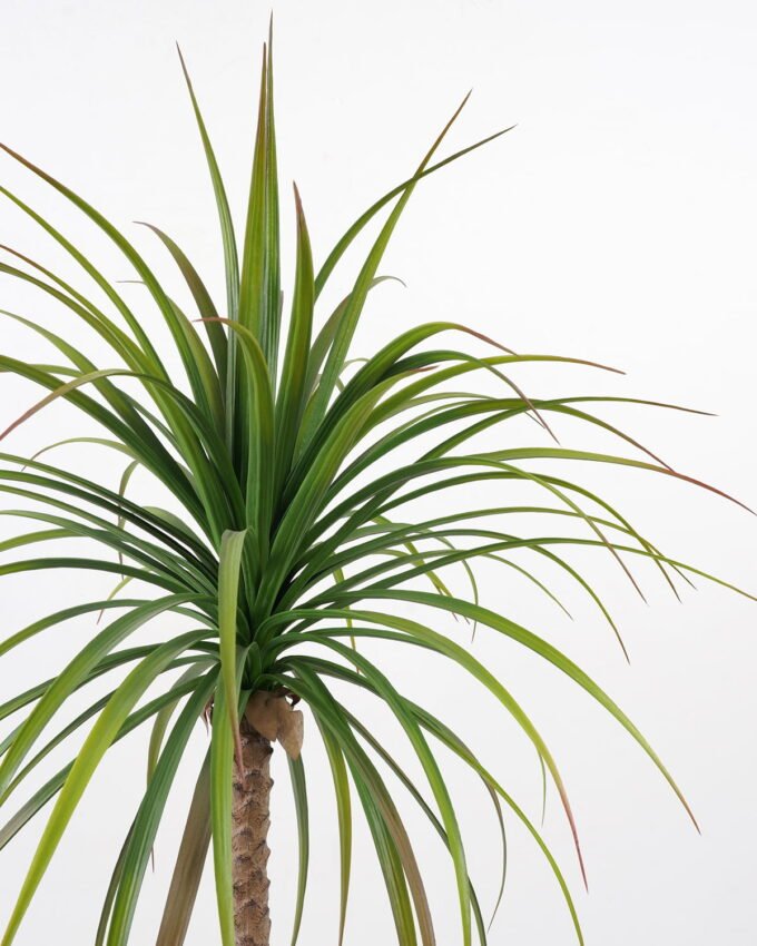 Artificial Tree 60*60*108cm Sago cycas leaves in cement pot GS-19222003 Tree&Plant YeahFlower is one of Chinese leading OEM manufacturers and exporters , supplying the silk flowers, wholesale artificial trees