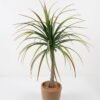 Artificial Tree 63*63*90cm Sago cycas leaves in cement pot GS-19222004 Tree&Plant YeahFlower is one of Chinese leading OEM manufacturers and exporters , supplying the silk flowers, wholesale artificial trees