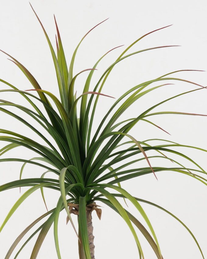 Artificial Tree 63*63*90cm Sago cycas leaves in cement pot GS-19222004 Tree&Plant YeahFlower is one of Chinese leading OEM manufacturers and exporters , supplying the silk flowers, wholesale artificial trees