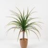 Artificial Tree 62*62*66cm Sago cycas leaves in cement pot GS-19222005 Tree&Plant YeahFlower is one of Chinese leading OEM manufacturers and exporters , supplying the silk flowers, wholesale artificial trees