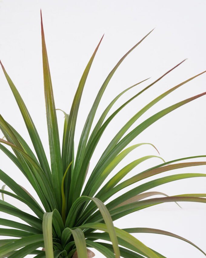 Artificial Tree 62*62*66cm Sago cycas leaves in cement pot GS-19222005 Tree&Plant YeahFlower is one of Chinese leading OEM manufacturers and exporters , supplying the silk flowers, wholesale artificial trees