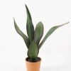 Artificial Tree 45*45*53cm Sansevieria in pp pot/5LVS GS-59522014 Tree&Plant YeahFlower is one of Chinese leading OEM manufacturers and exporters , supplying the silk flowers, wholesale artificial trees