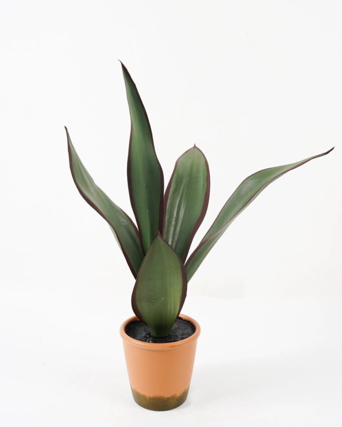 Artificial Tree 45*45*53cm Sansevieria in pp pot/5LVS GS-59522014 Tree&Plant YeahFlower is one of Chinese leading OEM manufacturers and exporters , supplying the silk flowers, wholesale artificial trees