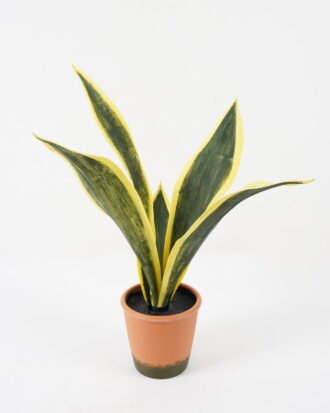 Artificial Tree 40*35*50cm Sansevieria in pp pot/5LVS GS-59522015 Tree&Plant YeahFlower is one of Chinese leading OEM manufacturers and exporters , supplying the silk flowers, wholesale artificial trees