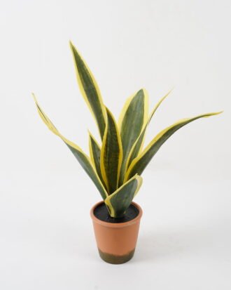 Artificial Tree 45*33*55cm Sansevieria in pp pot/8LVS GS-59522012 Tree&Plant YeahFlower is one of Chinese leading OEM manufacturers and exporters , supplying the silk flowers, wholesale artificial trees