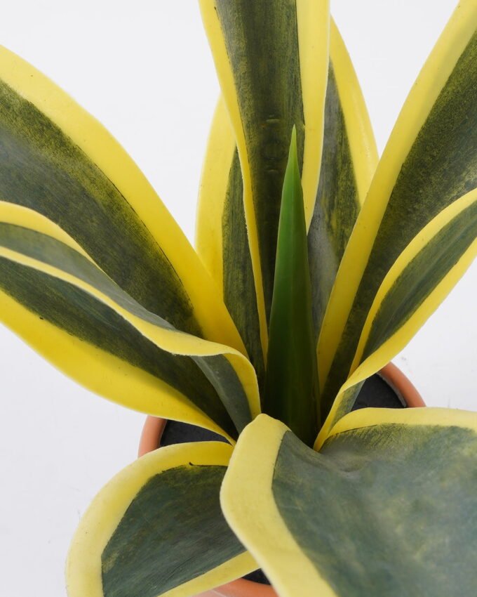 Artificial Tree Sansevieria in pp pot 8LVS GS-59522012_8 Artificial Tree 45*33*55cm Sansevieria in pp pot/8LVS GS-59522012 Tree&Plant YeahFlower is one of Chinese leading OEM manufacturers and exporters , supplying the silk flowers, wholesale artificial trees