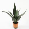 Artificial Tree 50*43*55cm Sansevieria in pp pot/8LVS GS-59522013 Tree&Plant 3,000+ sqm showroom with thousands of artificial flowers, plants & trees ready for global sourcing.