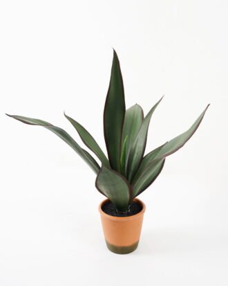 Artificial Tree 50*43*55cm Sansevieria in pp pot/8LVS GS-59522013 Tree&Plant YeahFlower is one of Chinese leading OEM manufacturers and exporters , supplying the silk flowers, wholesale artificial trees