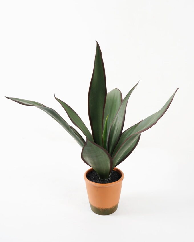 Artificial Tree 50*43*55cm Sansevieria in pp pot/8LVS GS-59522013 Tree&Plant 3,000+ sqm showroom with thousands of artificial flowers, plants & trees ready for global sourcing.