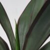 Artificial Tree 50*43*55cm Sansevieria in pp pot/8LVS GS-59522013 Tree&Plant 3,000+ sqm showroom with thousands of artificial flowers, plants & trees ready for global sourcing.