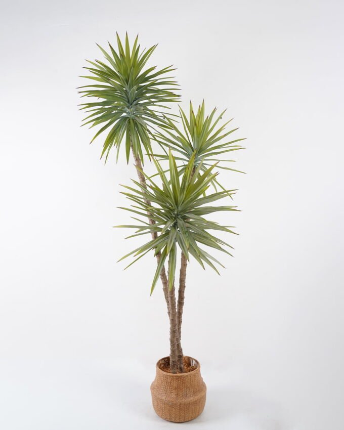 Artificial Tree 70*70*175cm Sisal hemp*3 in cement pot GS-19222009 Tree&Plant YeahFlower is one of Chinese leading OEM manufacturers and exporters , supplying the silk flowers, wholesale artificial trees