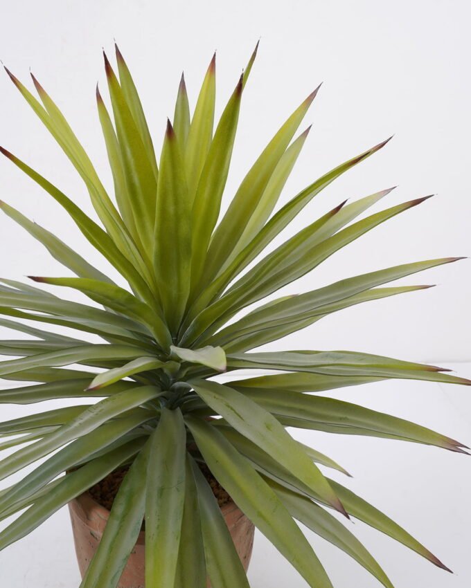 Artificial Tree 53*53*55cm Sisal hemp in cement pot GS-19222014 Tree&Plant YeahFlower is one of Chinese leading OEM manufacturers and exporters , supplying the silk flowers, wholesale artificial trees