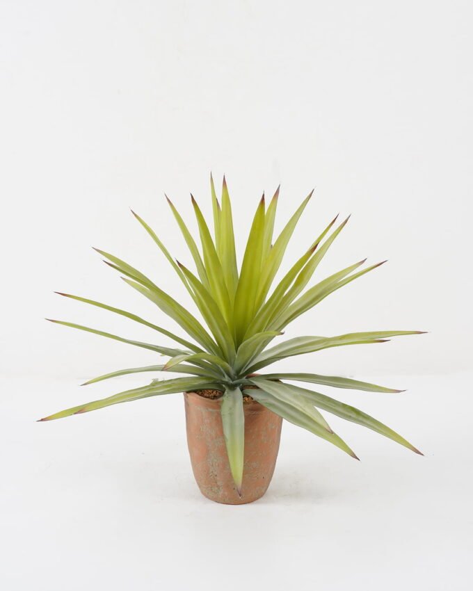 Artificial Tree Sisal hemp in cement pot GS-19222015 Artificial Tree 50*50*40cm Sisal hemp in cement pot GS-19222015 Tree&Plant YeahFlower is one of Chinese leading OEM manufacturers and exporters , supplying the silk flowers, wholesale artificial trees