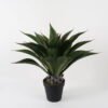Artificial Tree Succulent in PP pot GS-19222035_7 Artificial Tree 70*70*80cm Succulent in PP pot GS-19222035 Tree&Plant YeahFlower is one of Chinese leading OEM manufacturers and exporters , supplying the silk flowers, wholesale artificial trees