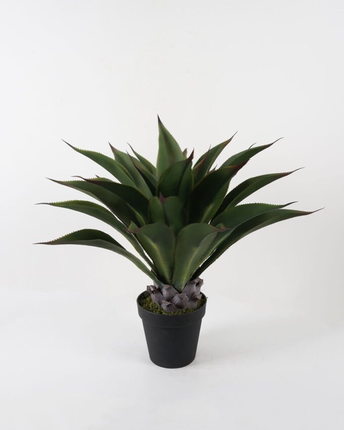 Artificial Tree Succulent in PP pot GS-19222035_7 Artificial Tree 70*70*80cm Succulent in PP pot GS-19222035 Tree&Plant YeahFlower is one of Chinese leading OEM manufacturers and exporters , supplying the silk flowers, wholesale artificial trees