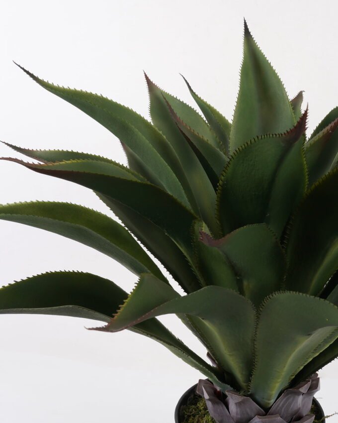 Artificial Tree Succulent in PP pot GS-19222035_8 Artificial Tree 70*70*80cm Succulent in PP pot GS-19222035 Tree&Plant YeahFlower is one of Chinese leading OEM manufacturers and exporters , supplying the silk flowers, wholesale artificial trees