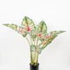 Artificial Tree 70*60*80CM Tabby taro tree in pp pot GS-48522013 Tree&Plant YeahFlower is one of Chinese leading OEM manufacturers and exporters , supplying the silk flowers, wholesale artificial trees