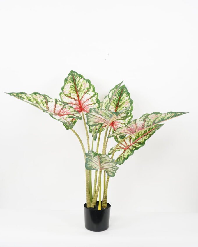 Artificial Tree 70*60*80CM Tabby taro tree in pp pot GS-48522013 Tree&Plant YeahFlower is one of Chinese leading OEM manufacturers and exporters , supplying the silk flowers, wholesale artificial trees