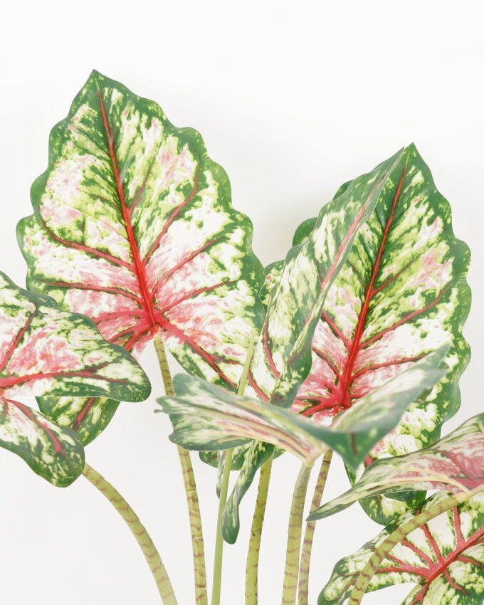 Artificial Tree 70*60*80CM Tabby taro tree in pp pot GS-48522013 Tree&Plant YeahFlower is one of Chinese leading OEM manufacturers and exporters , supplying the silk flowers, wholesale artificial trees