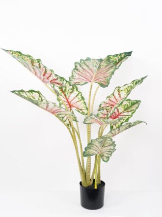 Artificial Tree 70*60*80CM Tabby taro tree in pp pot GS-48522013 Tree&Plant 3,000+ sqm showroom with thousands of artificial flowers, plants & trees ready for global sourcing.
