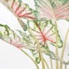Artificial Tree 80*70*110CM Tabby taro tree in pp pot GS-48522014 Tree&Plant YeahFlower is one of Chinese leading OEM manufacturers and exporters , supplying the silk flowers, wholesale artificial trees