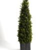 Artificial Tree 21.5*21.5*91cm Topiary in PP basket GS-33022016 Tree&Plant YeahFlower is one of Chinese leading OEM manufacturers and exporters , supplying the silk flowers, wholesale artificial trees